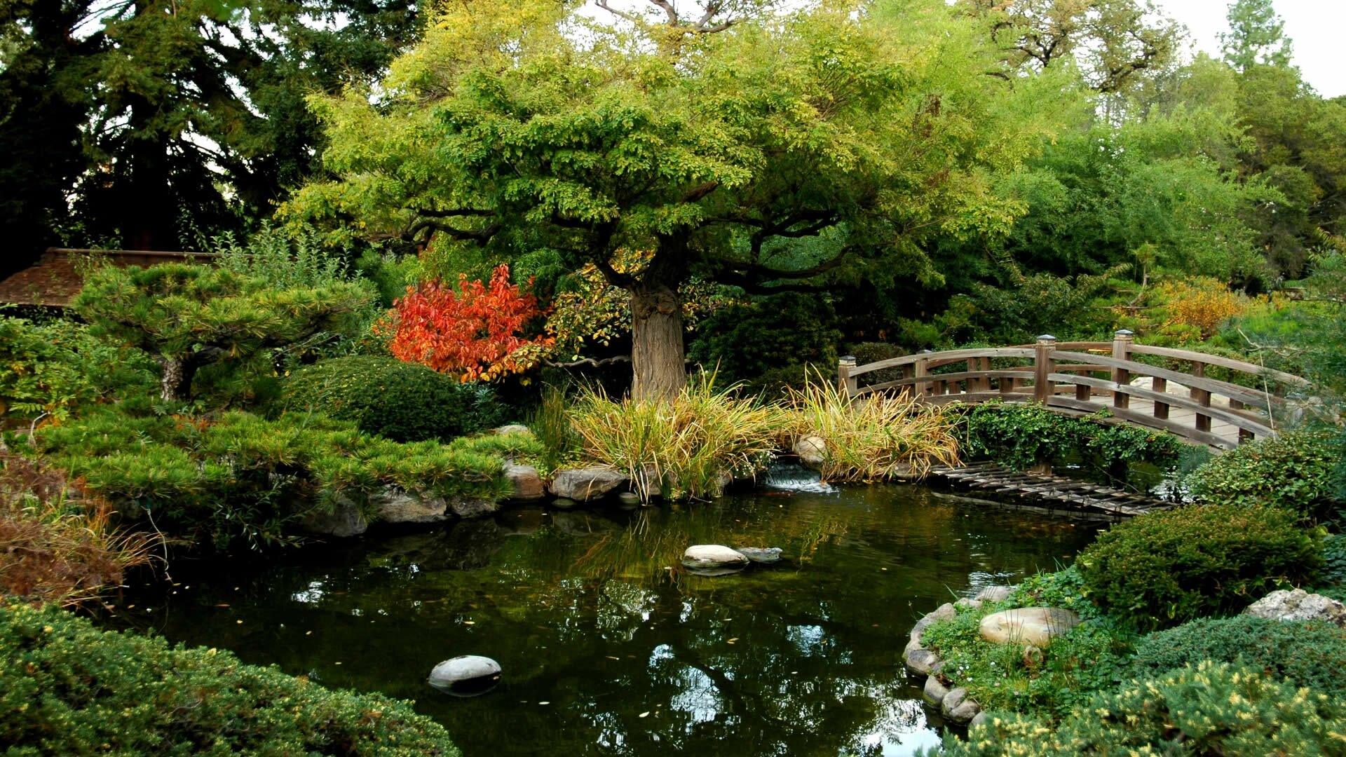 Каким должен быть японский сад