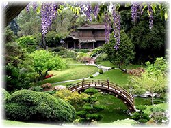 Рокарий - японский сад